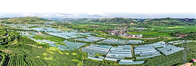     沿河谷川道區(qū)打造冷涼蔬菜產(chǎn)業(yè)帶。