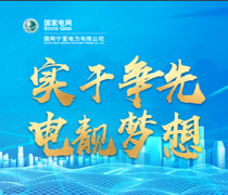 實(shí)干爭先 電靚夢想