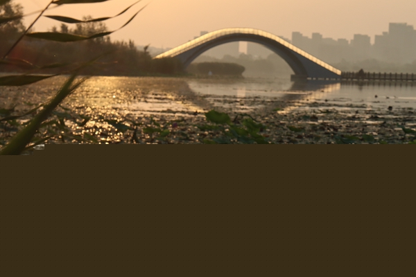 W020250205576356831826.jpg