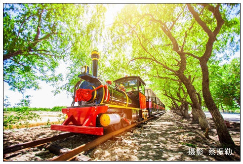 賀東葡萄酒小鎮(zhèn)小火車(chē).jpg