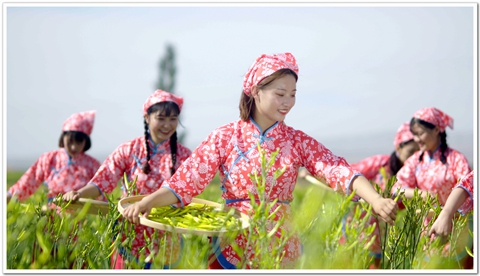 富硒黃花菜1.jpg