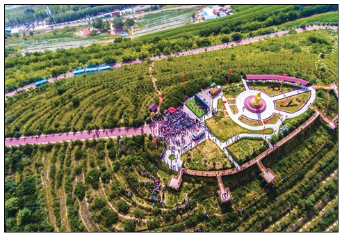 9-5金雞坪梯田公園.jpg