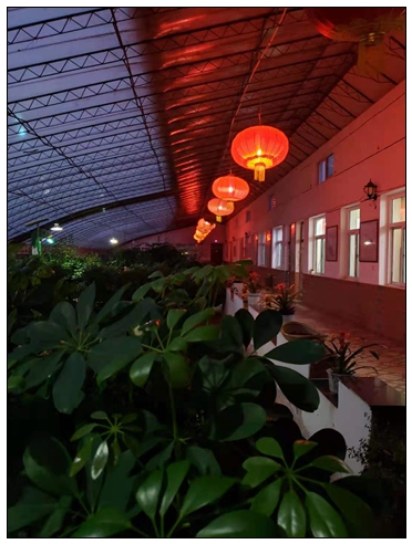 長棗莊園.jpg