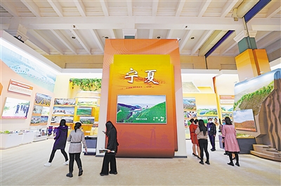 寧夏展區(qū)借助實物、模型、圖片、裸眼3D技術等，展示了黨的十八大以來寧夏所取得的不凡成就。