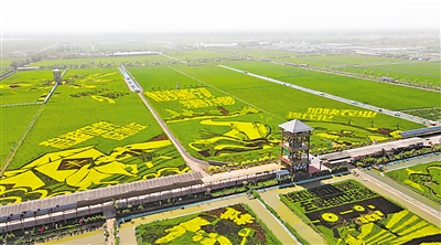     稻漁空間生態(tài)休閑觀光園。